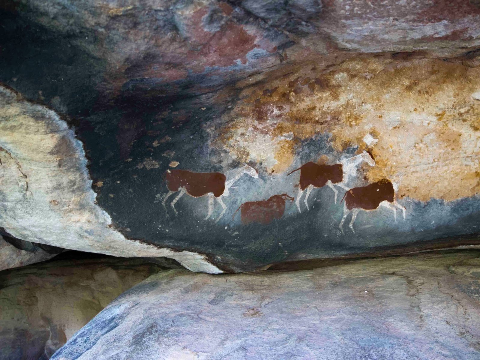 cave paintings